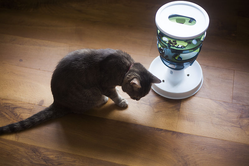 Catit Senses 2.0 Food Tree Cat Feeder