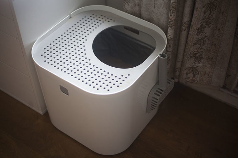 Modko Modkat Minimalist Top Entry Cat Litter Box Review