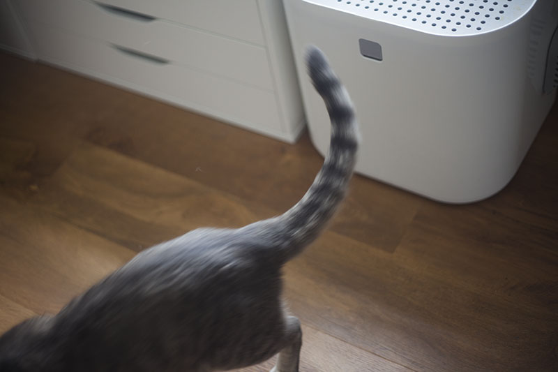 testing-cat-litter-box-modko-modkat-review-kitty-blog