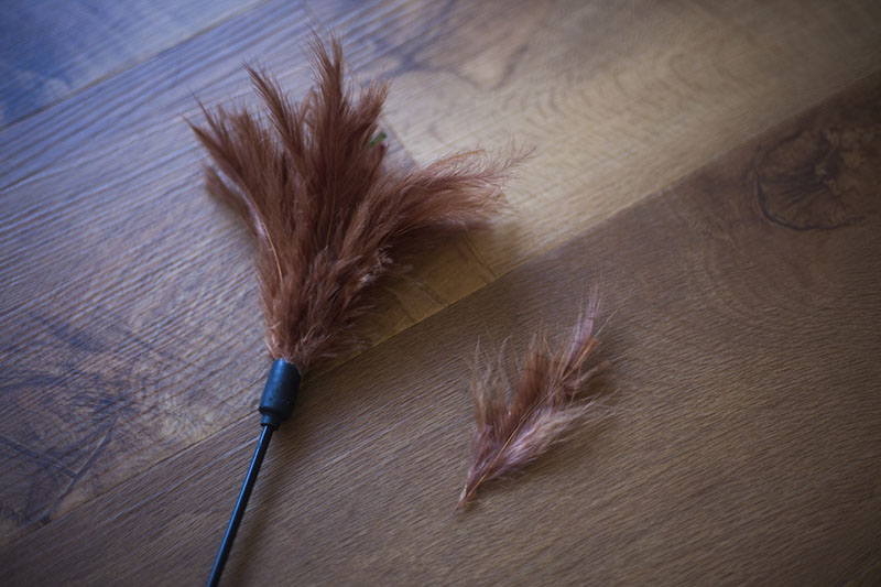 cat-toy-review-interpet-pet-love-kat-tikkler-feather-wand