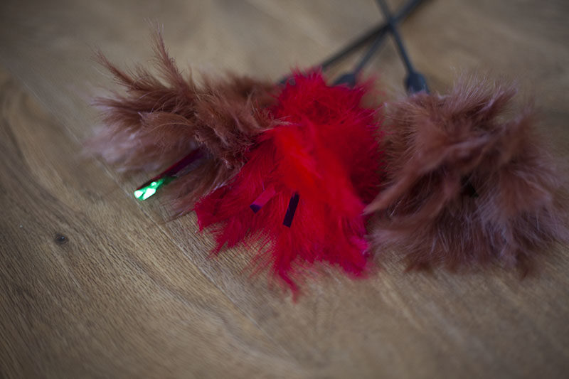 Interpet Pet Love Kat Tikkler Feather Wand Cat Toy Review
