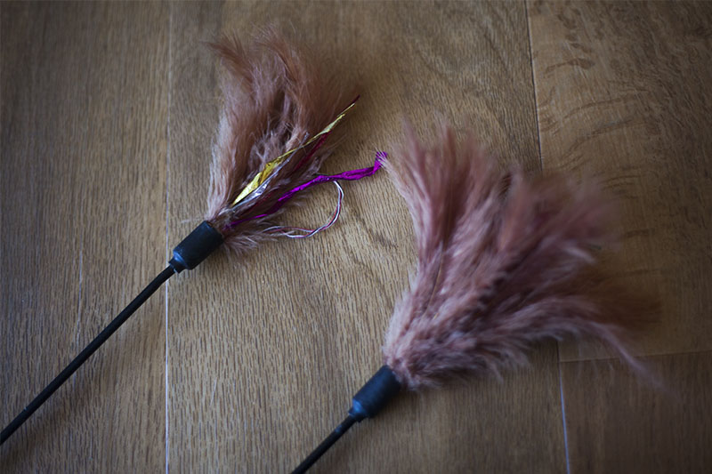 cat-toy-blog-review-interpet-feather-toy-kat-tikkler