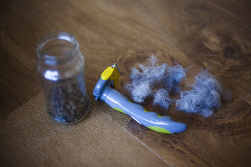 cat-hair-deshedding-tool-brush-kitty-kibble-treats-bribe