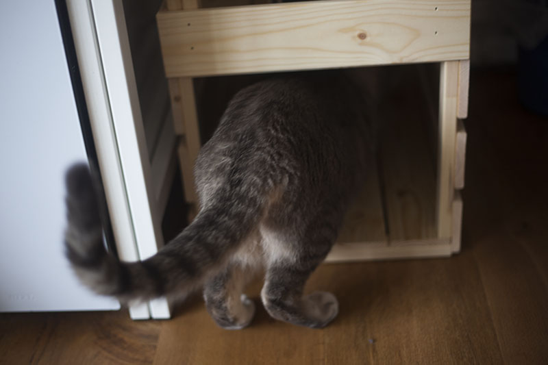 ikea-cat-hack-diy-cat-hiding-spot-bed-knagglig-crates