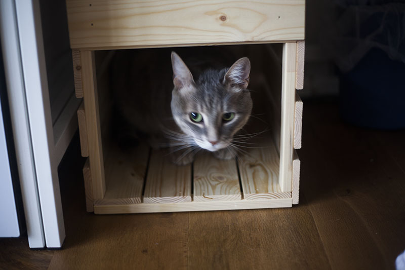 Ikea cat bed hack hotsell