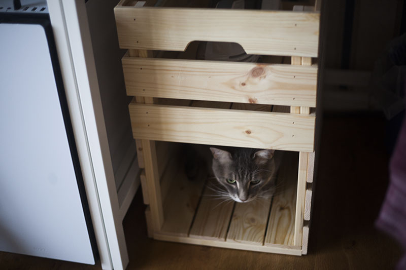 ikea-cat-hack-diy-kitty-box-kittyclysm-blog-knagglig-crate