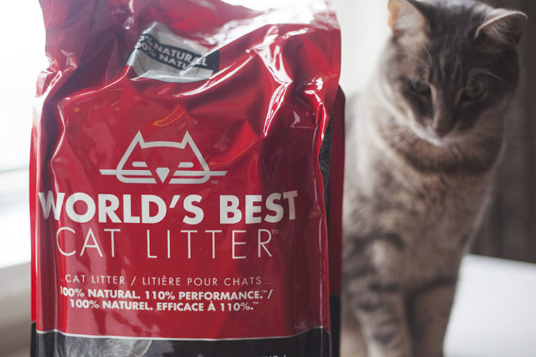 World's Best Cat Litter WholeKernel Corn Kitty Litter Review