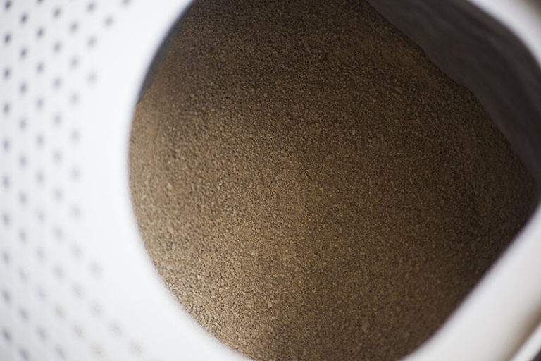 World's Best Cat Litter WholeKernel Corn Kitty Litter Review