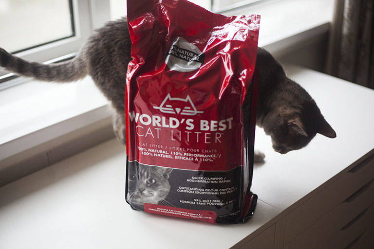 World's Best Cat Litter WholeKernel Corn Kitty Litter Review