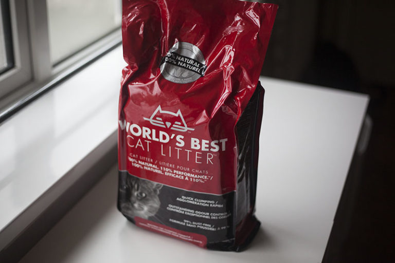 World's Best Cat Litter WholeKernel Corn Kitty Litter Review