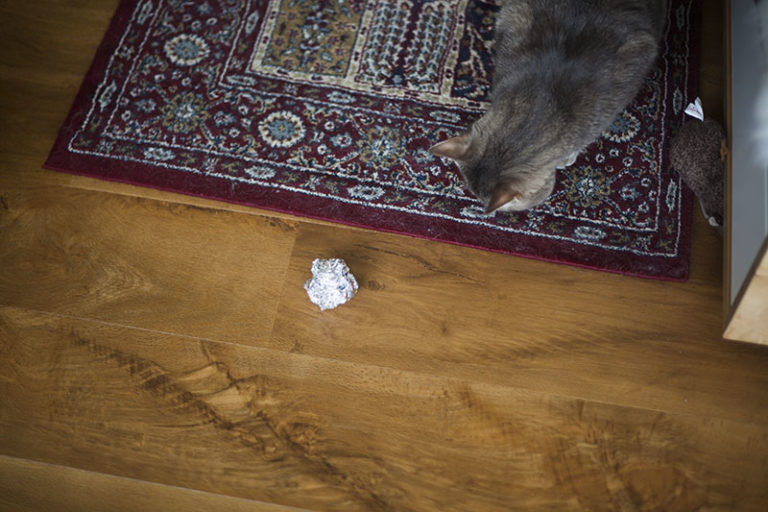 Aluminum Foil Balls Ever Made One? Does Your Cat Play With Them?