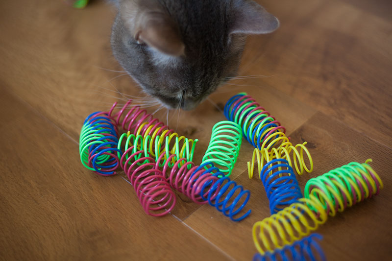 plastic springs for cats