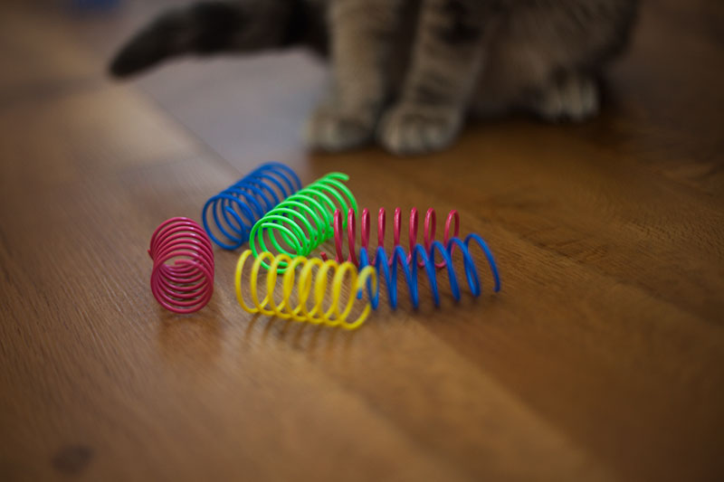 plastic springs for cats