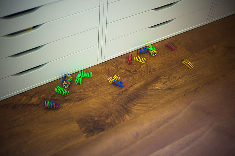 cat-toy-springs-review-pets-blog-kittyclysm-ethical-pet