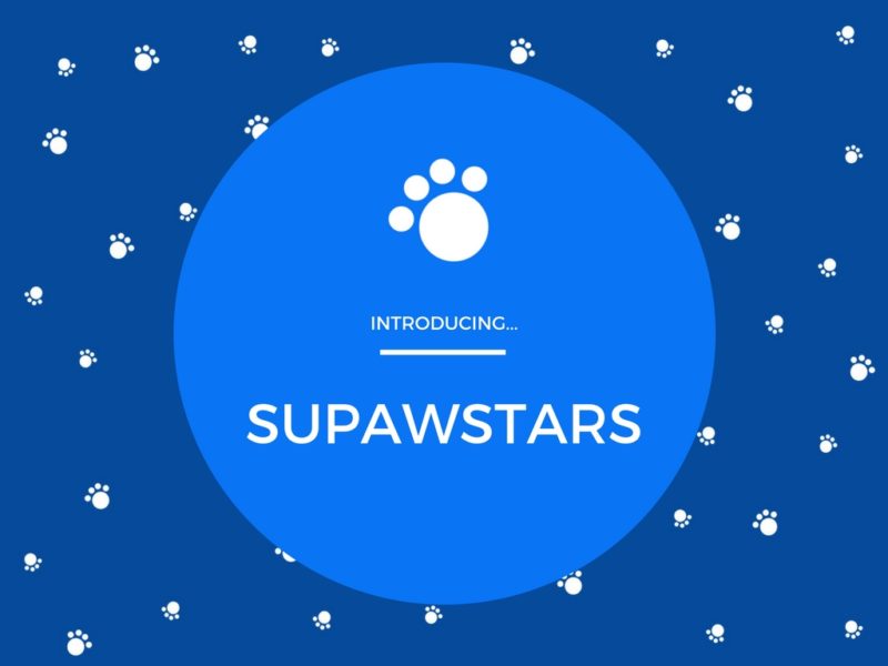 Introducing Supawstars! & Please Shout Out Your Favourite Pet Blogs!