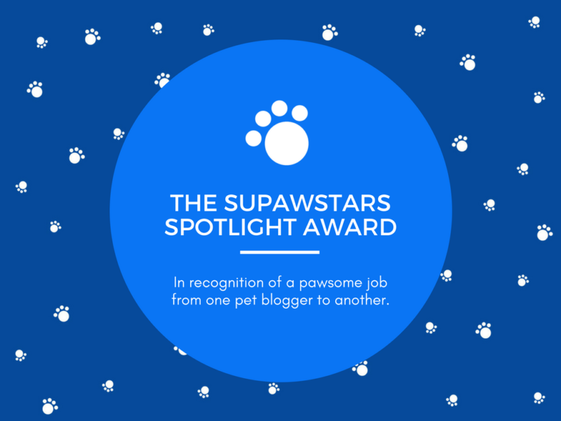 Supawstars Pet Blogger Spotlight Award! (01/2018)