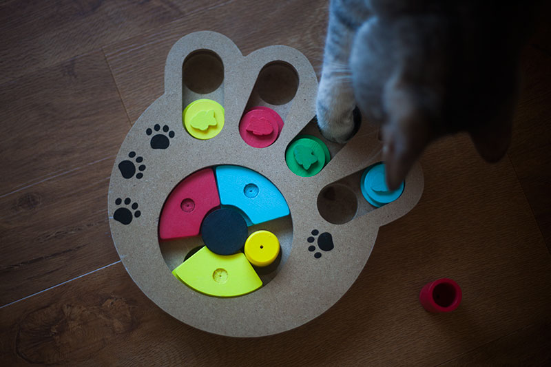 pyrus-paw-print-feeding-toy-review