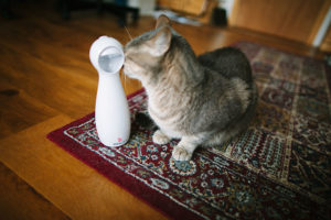 PetSafe FroliCat Bolt Automatic Interactive Laser Cat Toy Review