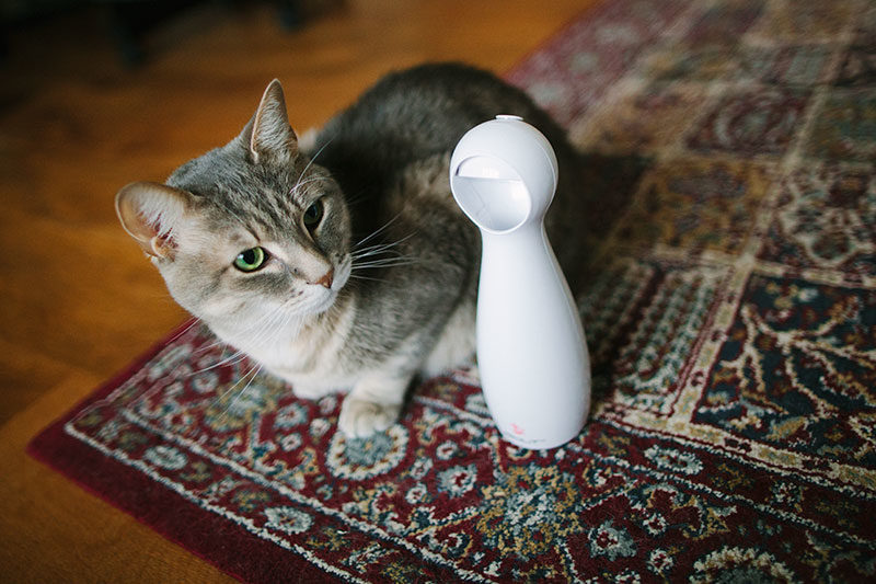 PetSafe FroliCat Bolt Automatic Interactive Laser Cat Toy Review