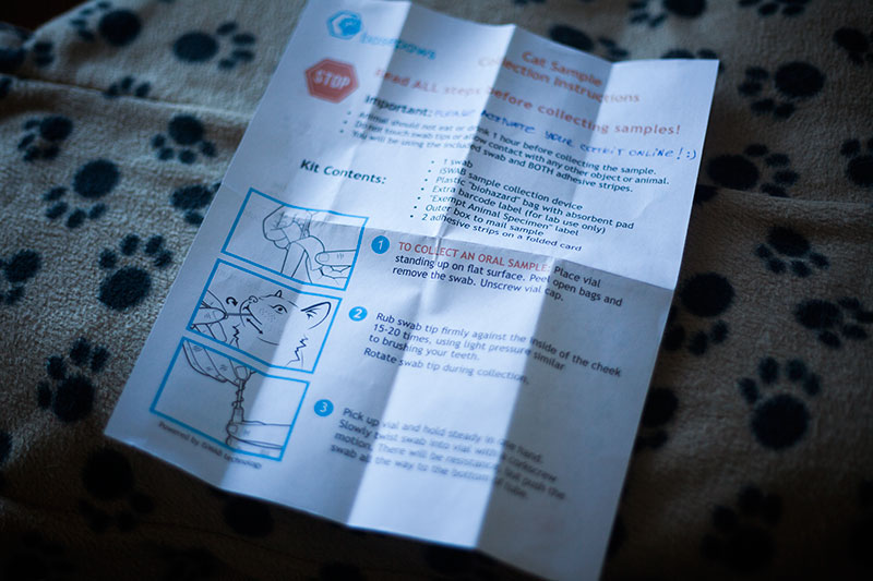 basepaws-catkit-dna-test-review