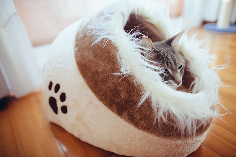 self warming cat cave