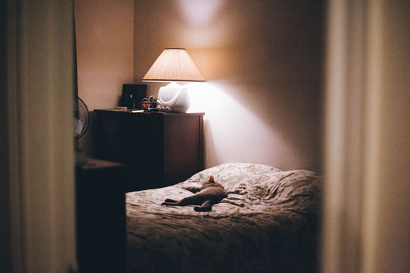 cat-sleeping-in-bedroom-on-bed