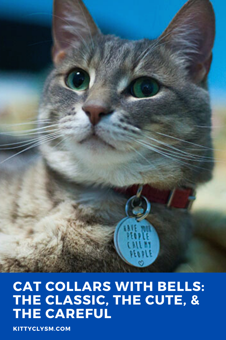 Cat Collars with Bells The Classic, The Cute, & The Careful