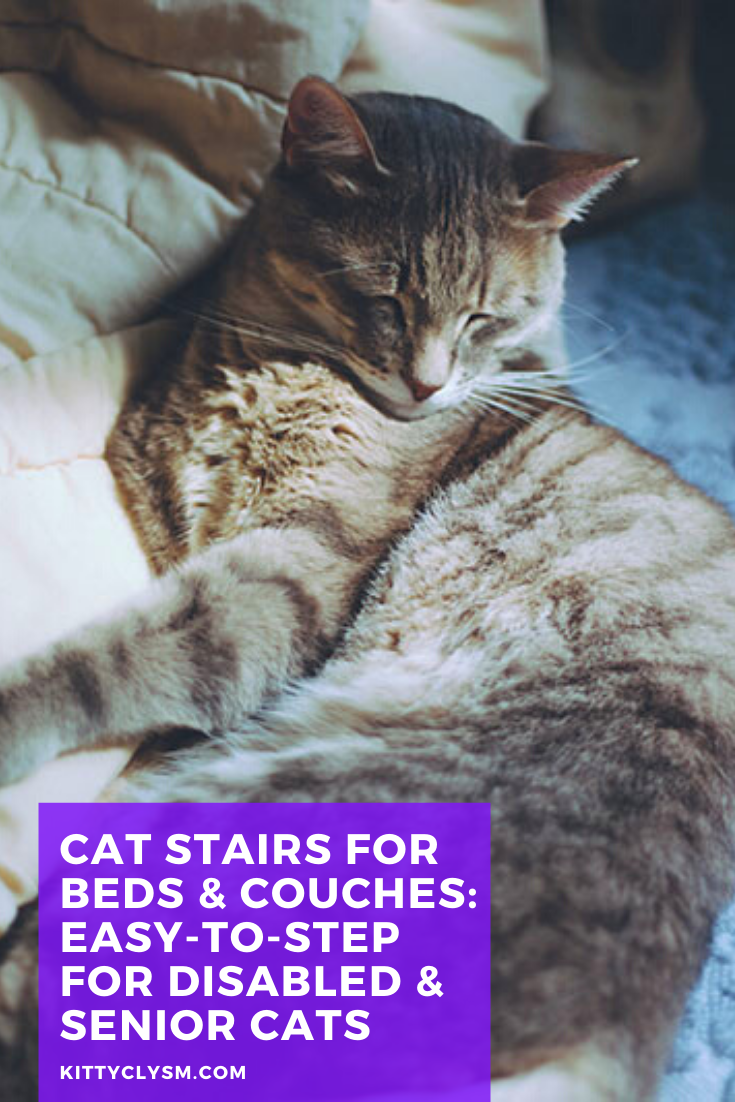 Cat Stairs for Beds & Couches EasytoStep for Disabled & Senior Cats