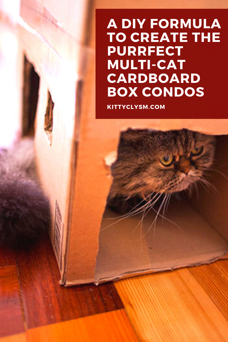 A DIY Formula to Create the Purrfect MultiCat Cardboard Box Condos